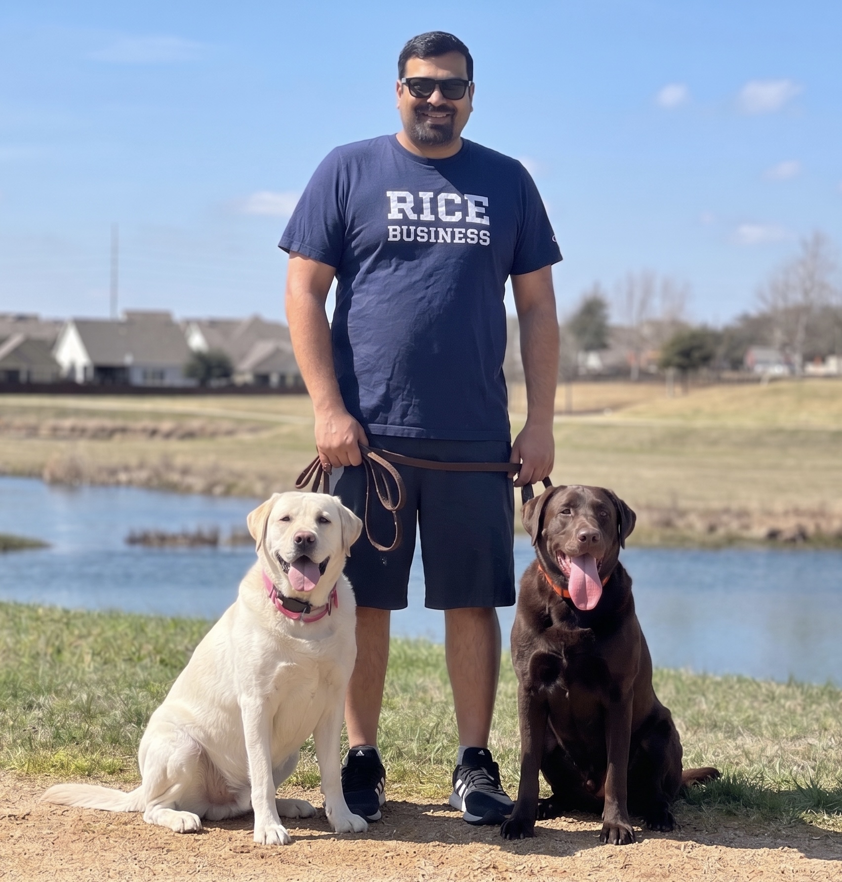 Amith Harsha with his yellow and chocolate Labradors